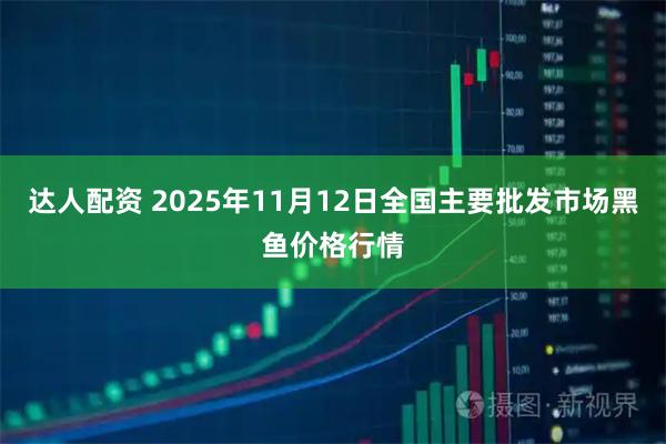 达人配资 2025年11月12日全国主要批发市场黑鱼价格行情